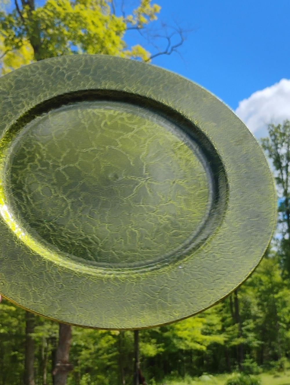 CHARGER PLATE Set of 6 NWT OLIVE